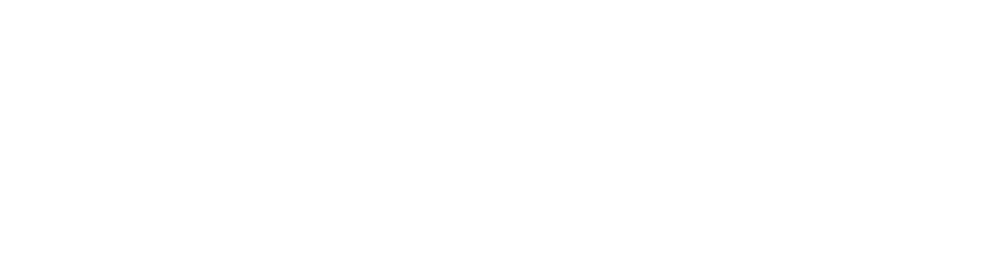 Lost In Extraction