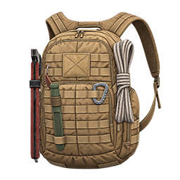 Field Assault Pack 24
