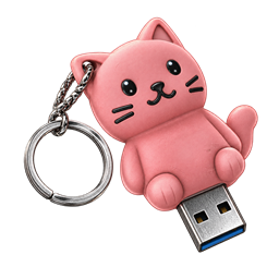 Working 2GB Flash Drive