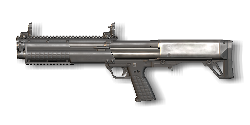 KSG