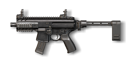 SIG MPX