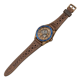 Collectible watch